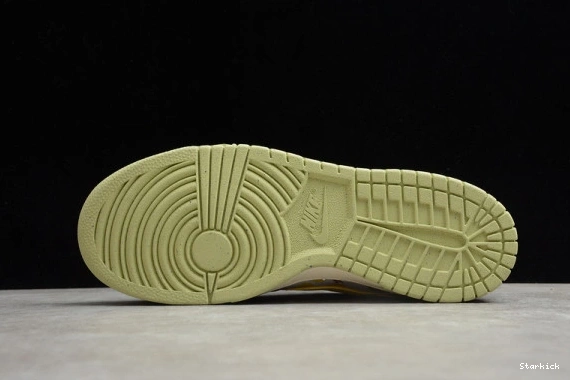 Dunk Garden Nike CZ9747-900 Community Low 0818